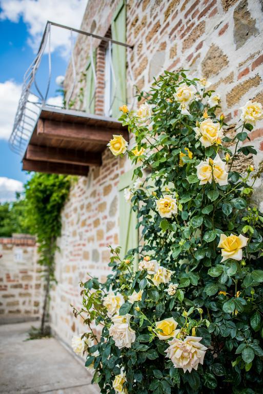 تشورنومورسك Rosemarino Country House المظهر الخارجي الصورة